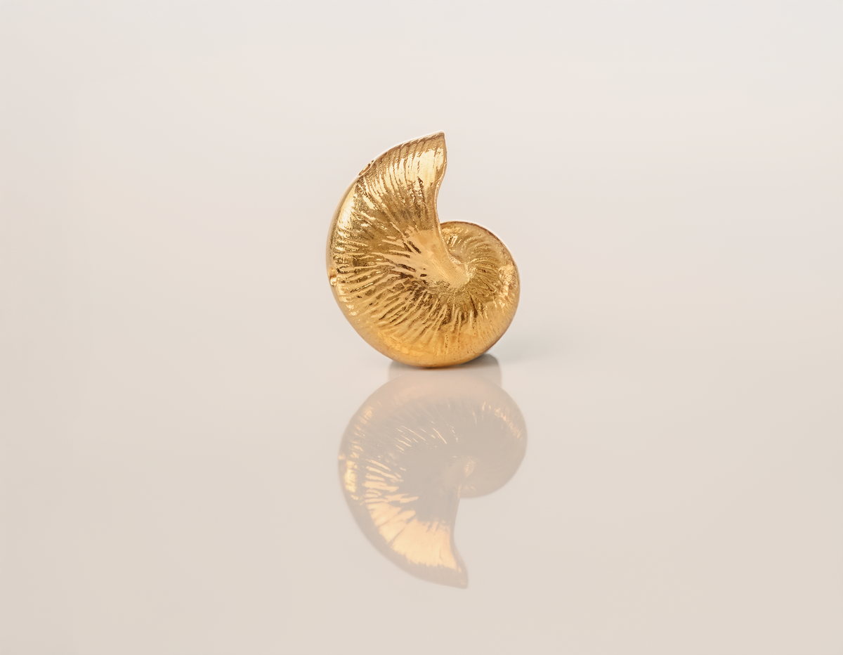 Shell Rhodes SHELL PENDANTS – Rhodes 24K
